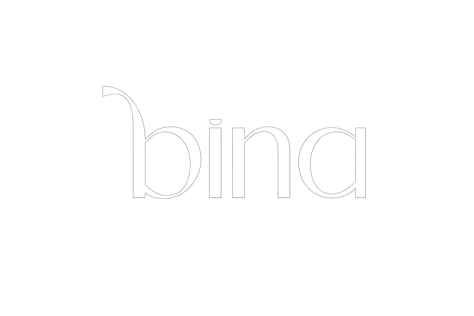 Bina Stores